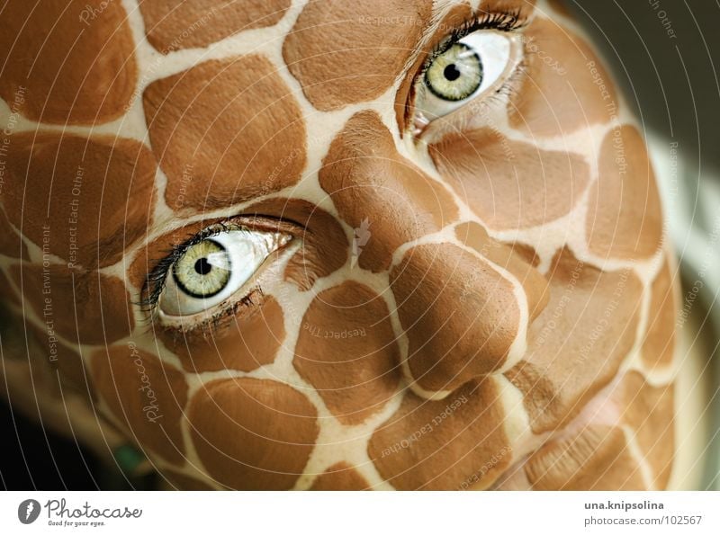 safari II Gesicht Auge Mund grün Wimpern intensiv Giraffe wildlife Fleck kulleräugig Hautausschlag Farbfoto Porträt Schminke Blick in die Kamera