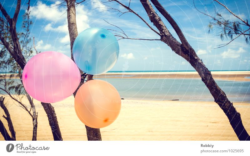Célébration sur la plage Natur Landschaft Wasser Sommer Baum Seeufer Meer Pazifikstrand Strand Dekoration & Verzierung Luftballon Sand Freundlichkeit maritim
