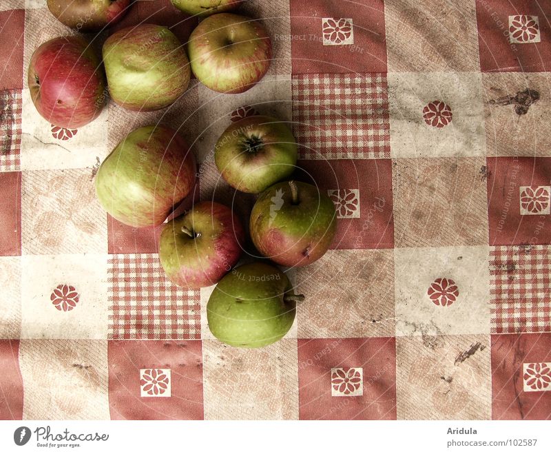 frühherbst Tisch Muster Quadrat rot weiß Herbst Gesundheit grün lecker Frucht Vergänglichkeit Apfel Decke dreckig Ernte Ernährung Fallobst fallen kariert