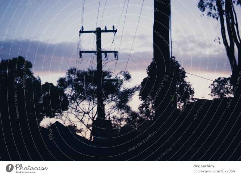 Strommast auch im Arakoon National Park.NSW / Australia. Steht in mitten von Bäumen. ruhig Ausflug Sommer Dienstleistungsgewerbe Energiewirtschaft Umwelt
