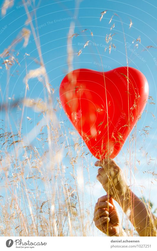 wahre Gefühle Hand Wolkenloser Himmel Sommer Schönes Wetter Gras Wiese Luftballon Herz blau rot Glück Liebe Verliebtheit Partnerschaft mehrfarbig Sonnenlicht