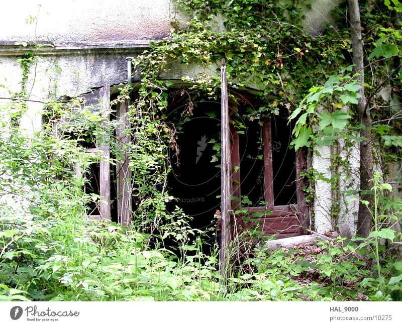 Im Dornröschenschlaf 1 Architektur verwachsen Haus Tür Einsamkeit