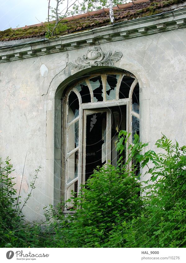 Verlassene Trinkhalle Architektur Jugendstil Tür Fenster verfallen verwachsen