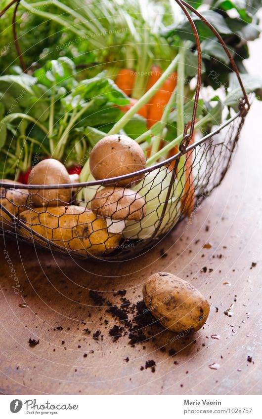 Gemüseallerlei 2 Lebensmittel Ernährung Abendessen Bioprodukte Vegetarische Ernährung Diät Fasten Gesundheit Erde Nutzpflanze dreckig Duft frisch lecker
