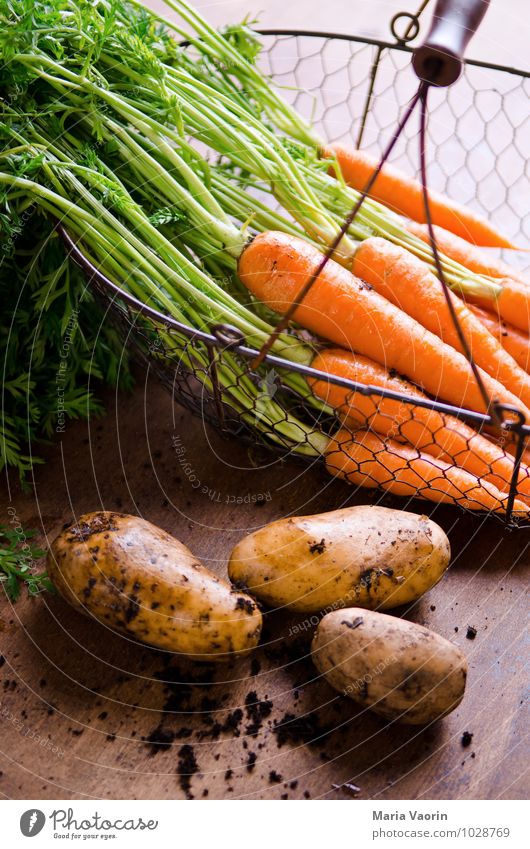 Gartengemüse 3 Lebensmittel Gemüse Essen Bioprodukte Vegetarische Ernährung Diät Gesundheit Gesunde Ernährung Erde frisch lecker natürlich Möhre Kartoffeln