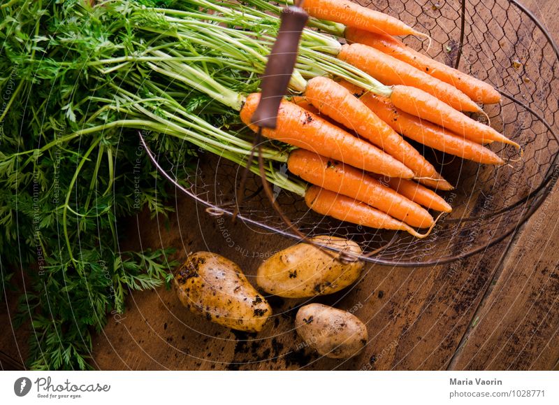 Gartengemüse 4 Lebensmittel Gemüse Essen Bioprodukte Vegetarische Ernährung Diät Gesundheit Gesunde Ernährung Erde frisch natürlich Kartoffeln Möhre Holztisch