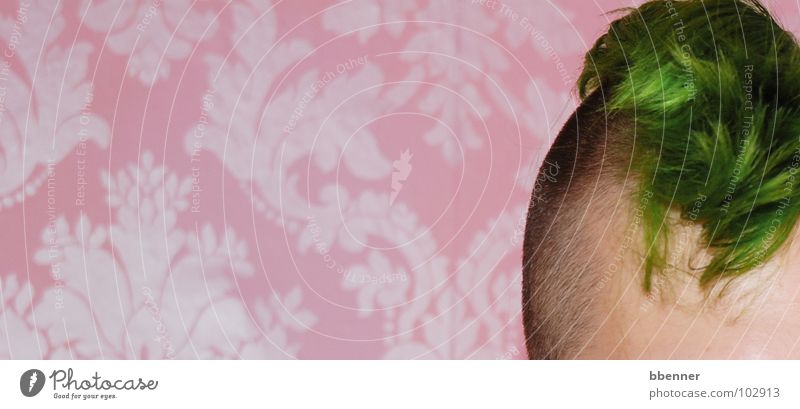 Pistazie auf Himbeeren rosa grün Tapete Irokesen-Schnitt Muster Wand Stirn Rasieren Haare & Frisuren Punk Kopf Barock Locken