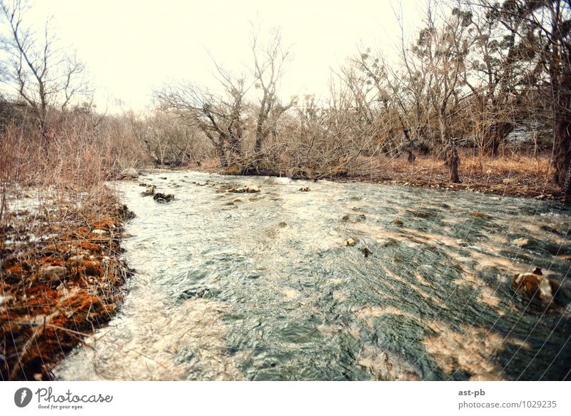 Schneller Fluss Bach braunes Gras Herbst Natur Wasserlauf