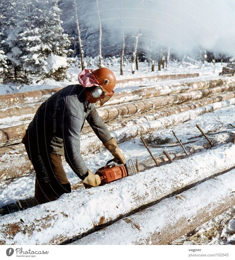 Forstarbeiten Holz Säge Winter weiß Handwerk Baumstamm Schnee Forstwirtschaft Arbeiter Schutzbekleidung Schutzbrille Schutzhelm Kettensäge