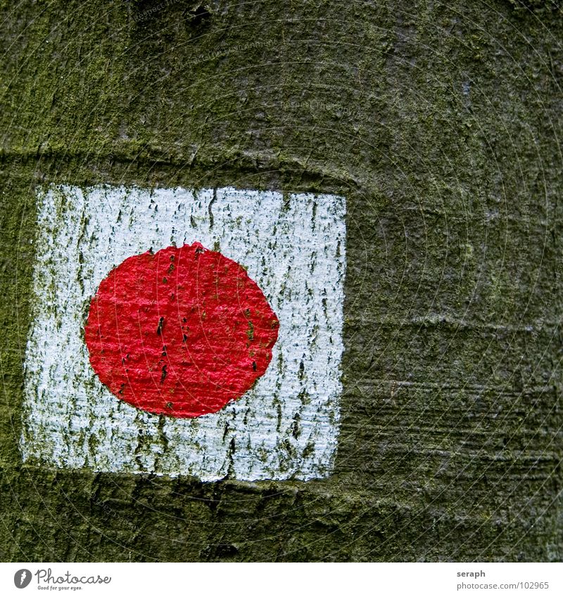 Japan Information Fahne Hinweisschild Baum Baumrinde Buche bemalt malerisch wandern Fußweg Quadrat Symbole & Metaphern abstrakt Schilder & Markierungen Zeichen