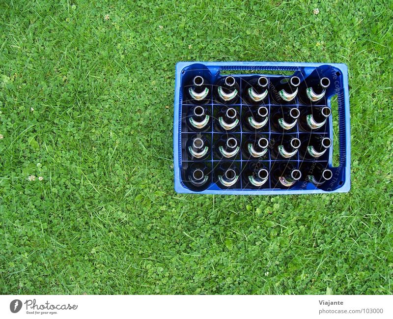 20 leere Hälse - reloaded. Bier Bierkasten Bierflasche Pfandflasche Getränk Erfrischung Wiese Gras Natur grün Alkoholsucht Erfrischungsgetränk Alkoholisiert