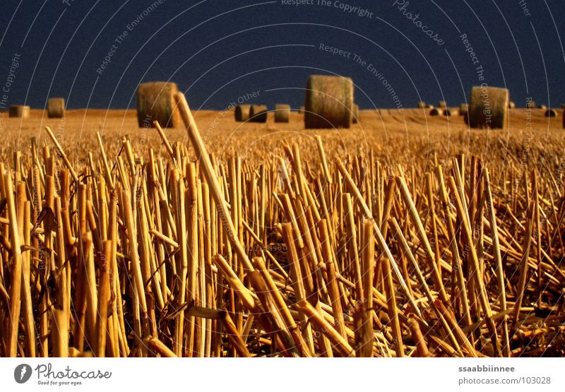 Strohballen nach dem Regen dunkel Feld Sommer Stoppel Getreide Ernte Himmel gold leuchten