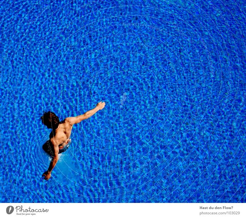 noch trocken Mann Schwimmbad Sprungbrett springen tauchen Freibad Sommer Gute Laune Badehose Wassersport blau Typ Tauchbecken Sprungbecken eingetaucht