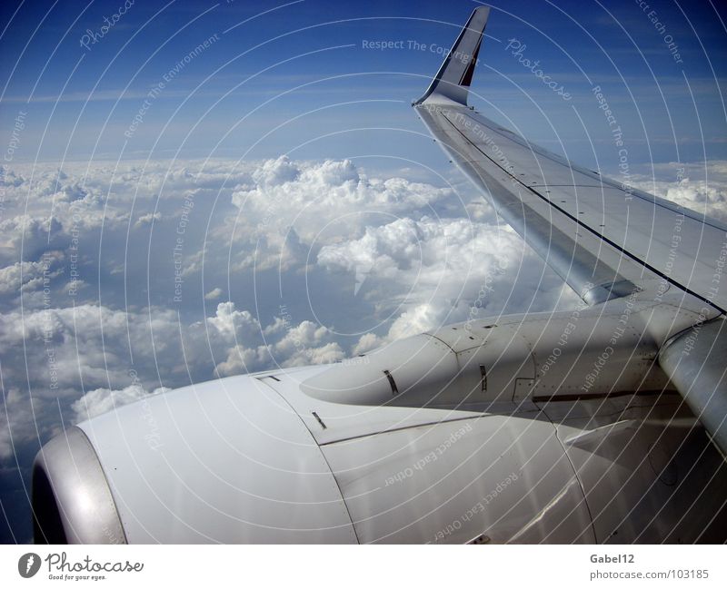 Flugobjekt Flugzeug Wolken Umweltverschmutzung Fluggerät Luftverkehr Himmel Stimmung Tragflügel