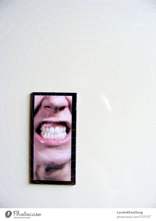 angry Magnet Hinweisschild black white frame face teeth chin lips nose silly picture