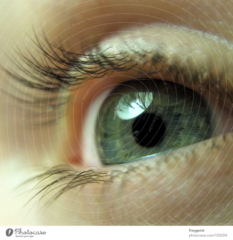 Zarte Neugier Gesicht Auge weich Organ Wimpern zart Pupille eye facre Regenbogenhaut Detailaufnahme Blick