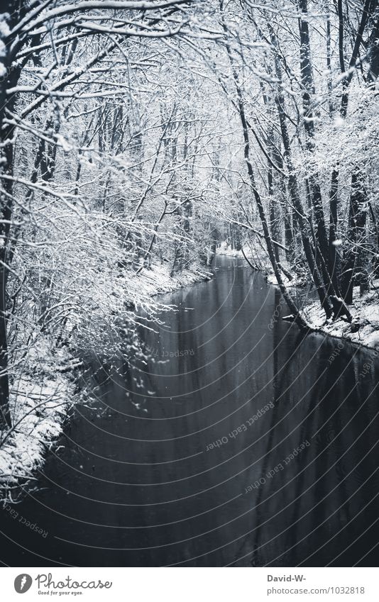 Idylische Winterlandschaft Angeln Ferien & Urlaub & Reisen Schnee Winterurlaub Natur Landschaft Schönes Wetter Eis Frost Wald Bach Fluss kalt Stimmung schön