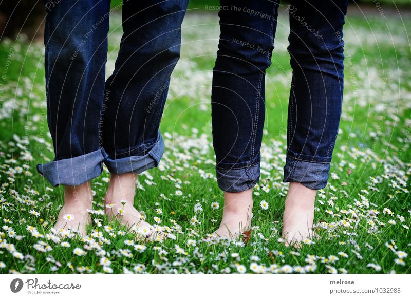 Wohlfühloase Lifestyle Junge Frau Jugendliche Junger Mann Paar Beine Fuß Knie 2 Mensch 18-30 Jahre Erwachsene Natur Sommer Schönes Wetter Blume Blüte