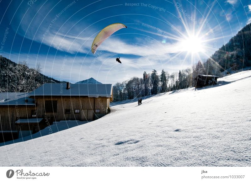 Landeanflug Lifestyle Leben Zufriedenheit Freizeit & Hobby Ausflug Freiheit Winter Schnee Berge u. Gebirge Sport Gleitschirmfliegen Sportstätten Natur
