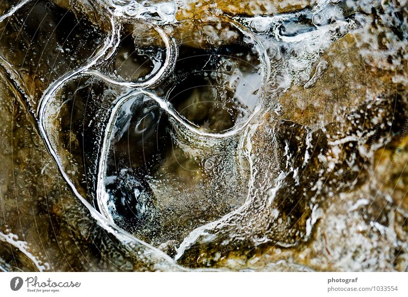 Eis Stil Design Leben Winter Schnee Kunst Kunstwerk Skulptur Luft Wasser Herbst Fluss Wachstum fließen gefroren eisblase Farbfoto Nahaufnahme Makroaufnahme Tag
