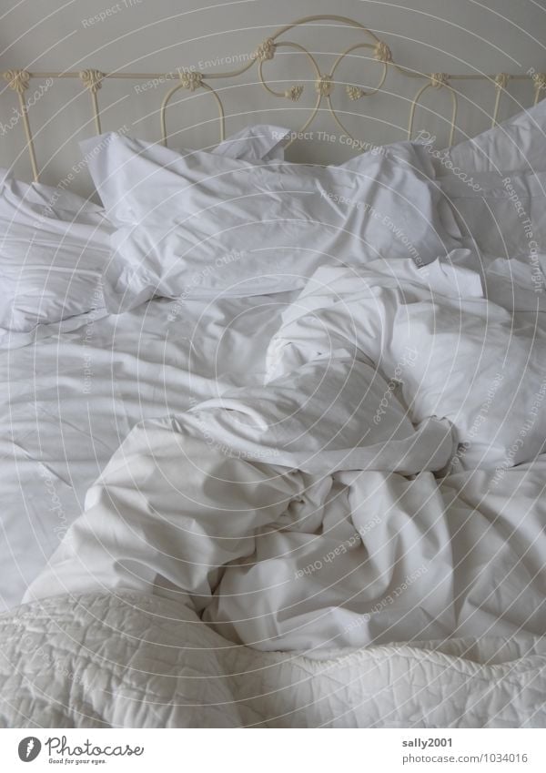ausgeschlafen...? Häusliches Leben Bett Schlafzimmer Erholung genießen liegen authentisch weiß ruhig Pause träumen leer Bettwäsche Kissen Bettdecke Menschenleer