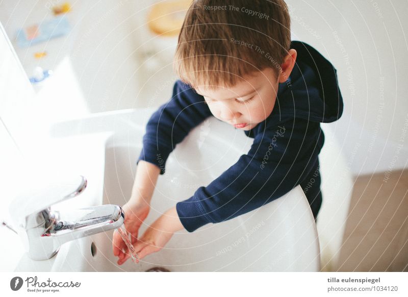 Kleiner Waschbär Gesundheit Wohnung Bad Mensch maskulin Kind Junge Kindheit 1 3-8 Jahre hell niedlich Sauberkeit weiß Neugier Leben Körperpflege Reinigen