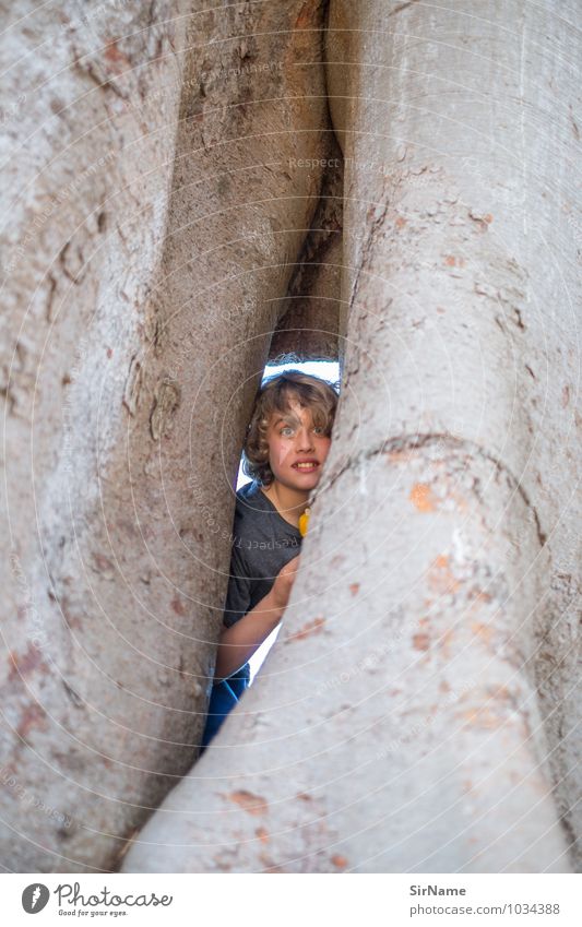 321 Kinderspiel verstecken Klettern Junge Mensch 8-13 Jahre Kindheit Baum berühren entdecken festhalten Kommunizieren Lächeln Blick Spielen Wachstum