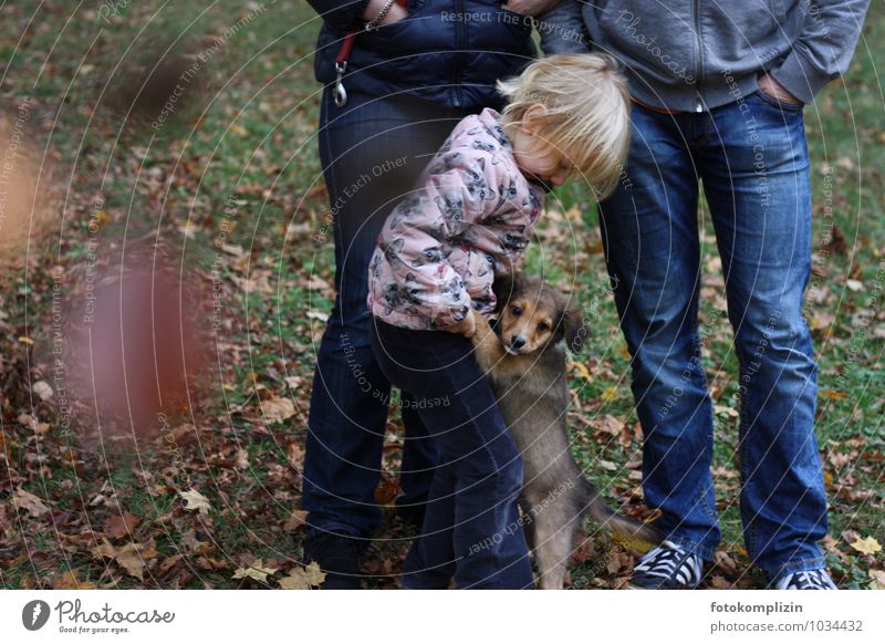 Vater, Mutter, Kind und Hundewelpe Familie Erwachsene Welpe klein Eltern Haustier Mensch Mensch und Hund halten Halt Familie & Verwandtschaft Kindheit Herbst