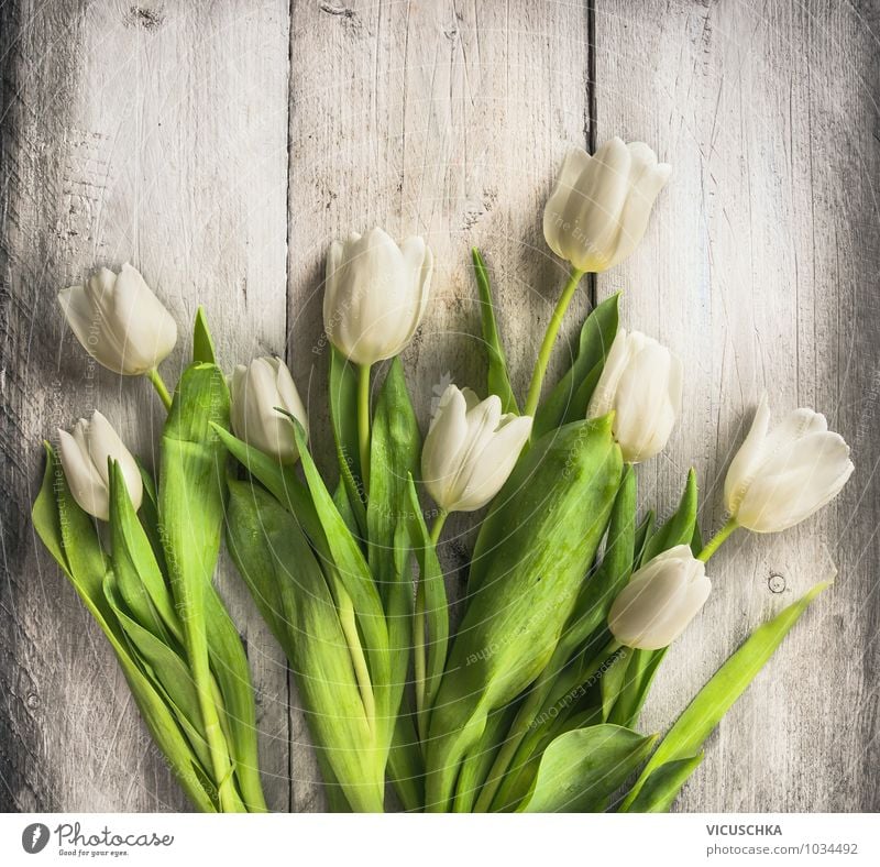 Weiße Tulpen auf dem Holztisch Lifestyle Stil Design Garten Innenarchitektur Dekoration & Verzierung Feste & Feiern Valentinstag Muttertag Geburtstag Pflanze