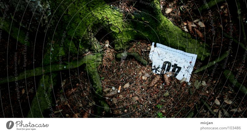 TrashTree40* leer Ziffern & Zahlen Jahrestag Wald Baum gruselig Papier weiß kaputt grün glänzend schimmern Regen Pflanze Umwelt Umweltverschmutzung Jubiläum