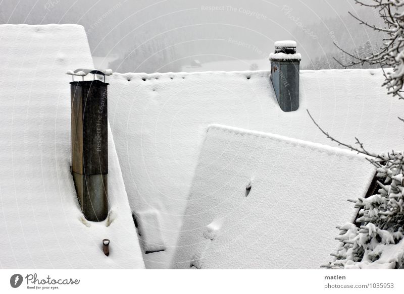 First Dorf Menschenleer Haus Dach Schornstein schwarz weiß Schneefall Farbfoto Außenaufnahme Dachfirst Idylle gemütlich ruhig Winterstimmung Wintertag Abdeckung