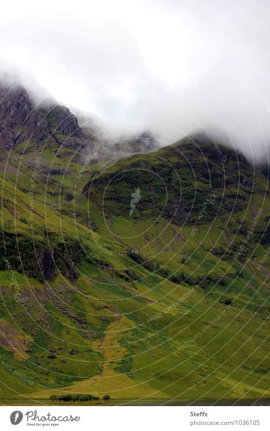 mystic Scotland Nebel Schottland schottische Landschaft nordisch Sommer in Schottland schottischer Sommer nordische Natur nordische Romantik