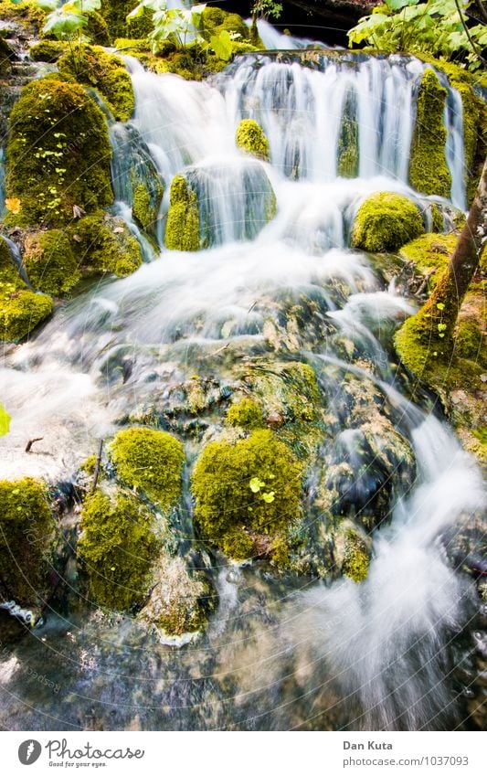 Immer flüssig Natur Wasser Moos Wald Bach Wasserfall Plitvicer Seen Bekanntheit fließen Langzeitbelichtung grün sanft weich Ewigkeit einfrieren Wölbung Farbfoto