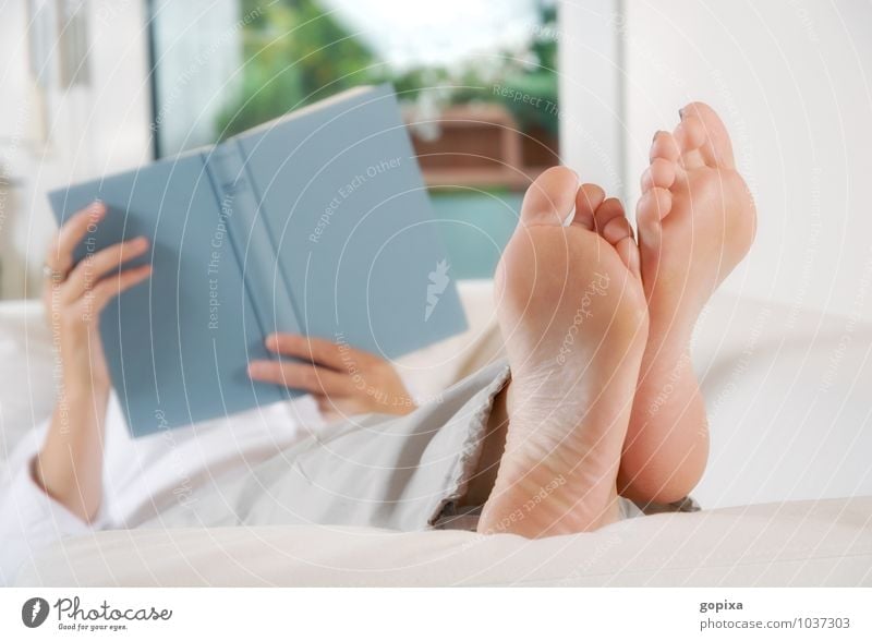 Frau legt die Füße hoch und liest ein Buch Erholung lesen Bildung Erwachsene Hand Fuß festhalten Häusliches Leben natürlich weiß Stimmung Zufriedenheit