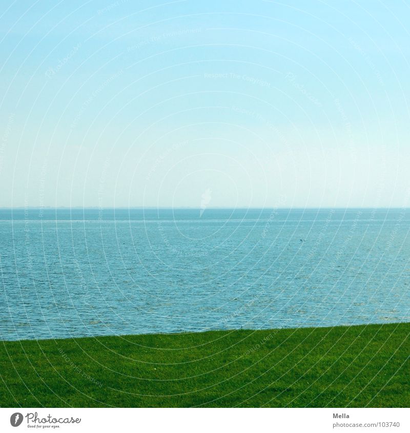 Große Weite Meer grün Gras Küste Ferne leer Neuwerk Sommer Teilung dreifarbig Wasser Nordsee blau Rasen Himmel Insel