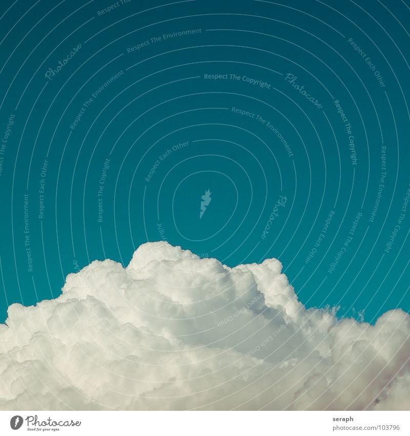 Die Wolke Wolken Himmel Freiheit Leichtigkeit leicht blau Hintergrundbild Kumulus Wind Wasserdampf Luft Schönes Wetter Strukturen & Formen fluffig weich