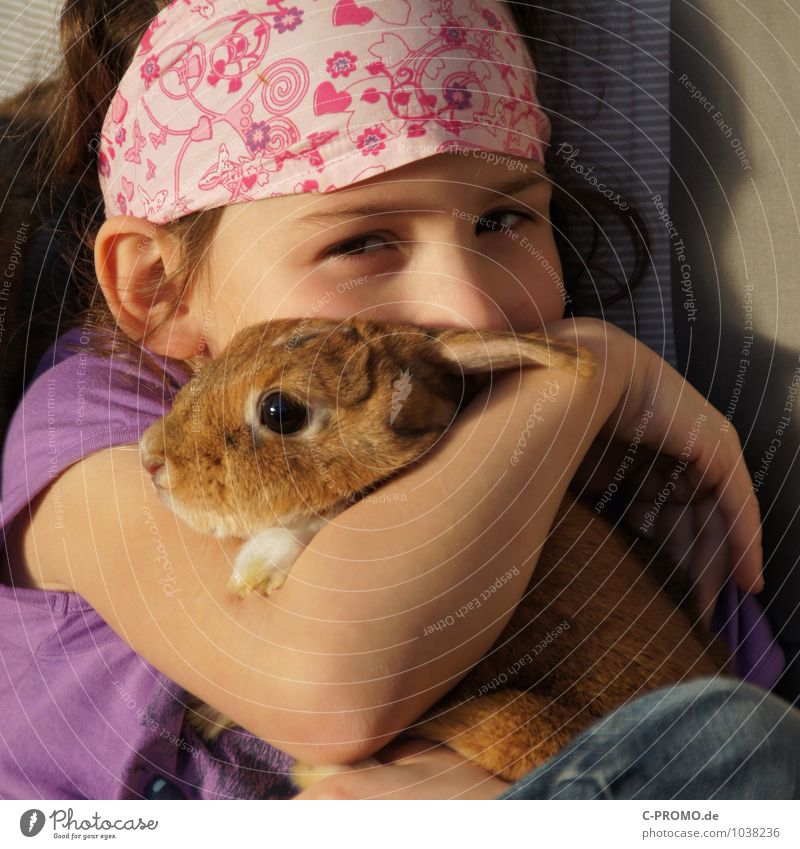 Mädchen kuschelt mit Kanninchen feminin Kind Kindheit 1 Mensch 3-8 Jahre Kopfbedeckung Kopftuch Haustier Hase & Kaninchen Tier berühren Küssen Liebe sitzen