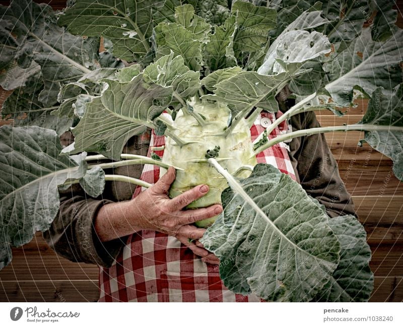 missverständnis | samenwahl Lebensmittel Gemüse Gesundheit Freizeit & Hobby Häusliches Leben Erntedankfest Mensch feminin Körper 1 45-60 Jahre Erwachsene Natur