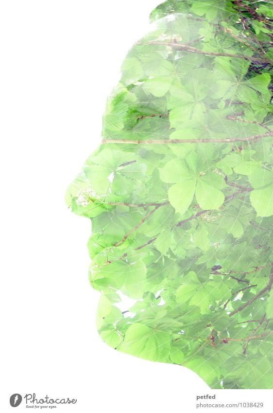 In meinen Gedanken der Wald feminin Frau Erwachsene Gesicht 1 Mensch 30-45 Jahre Sommer Pflanze Baum Blatt außergewöhnlich grün ruhig Design Inspiration