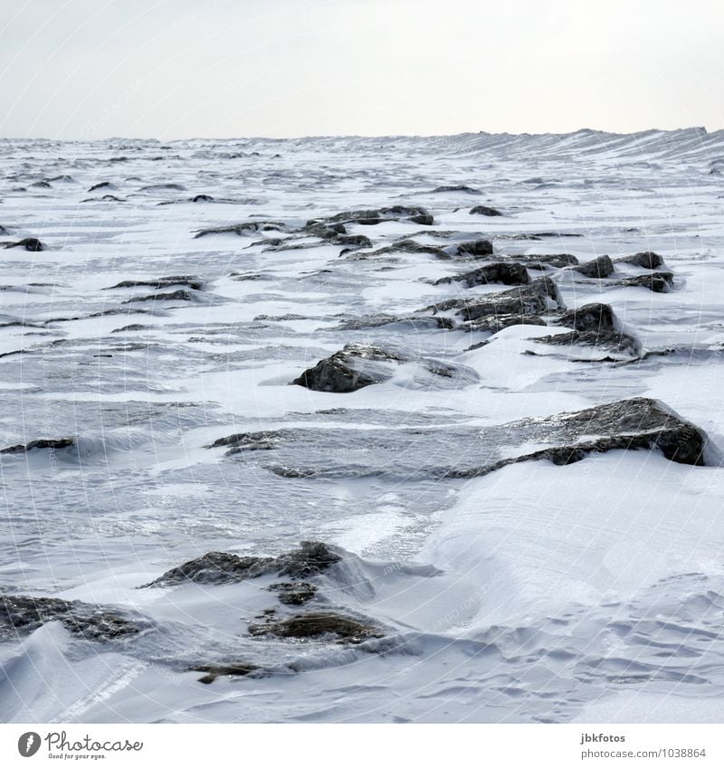 Nordsee gefroren Umwelt Natur Landschaft Urelemente Luft Wasser Himmel Wolkenloser Himmel Horizont Winter Schönes Wetter Unwetter Eis Frost Schnee Küste Strand