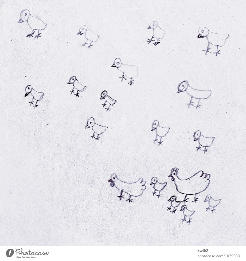 Familienglück Kunst Kunstwerk Zeichnung Kinderzeichnung Haushuhn Küken Tiergruppe einfach Zusammensein klein niedlich viele Zusammenhalt Federvieh Geflügelfarm