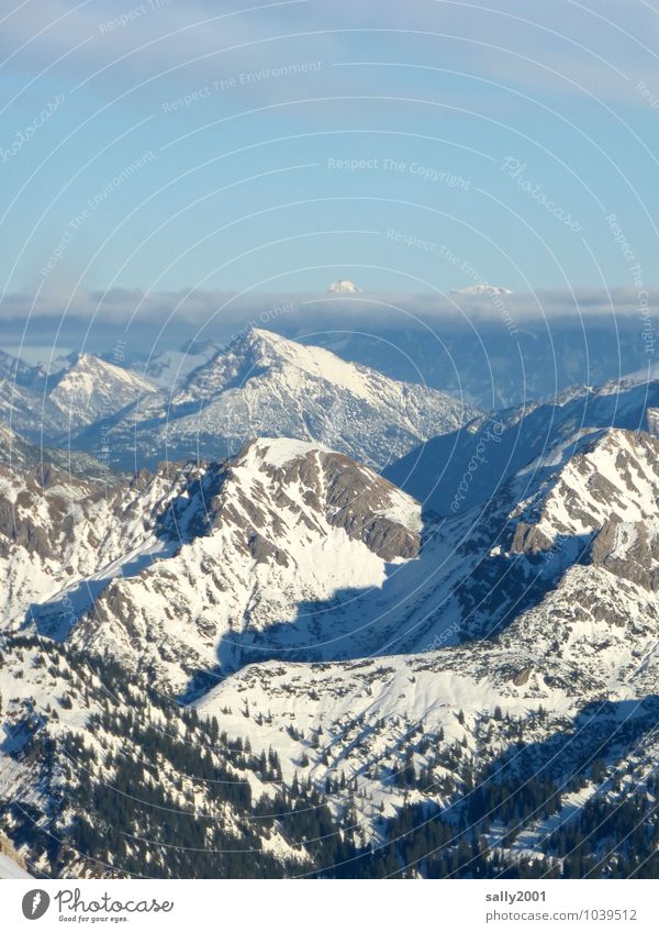 Überblick... Natur Landschaft Wolken Sonnenlicht Winter Schönes Wetter Schnee Wald Alpen Berge u. Gebirge Gipfel Schneebedeckte Gipfel Erholung Ferne gigantisch