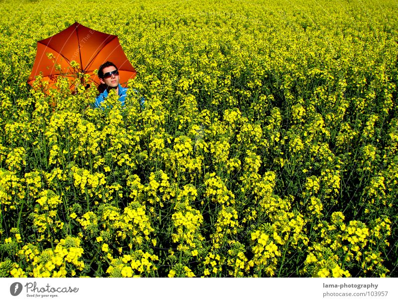 Summer Feeling genießen Sonnenbad ruhig träumen liegen Sommer Raps Rapsfeld Feld Wiese Ackerbau Landwirtschaft Frühling springen Ähren Dorf gelb Blume Erholung