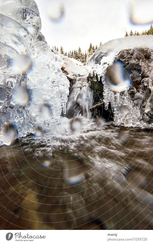 Kalt und nass Leben harmonisch Zufriedenheit Erholung ruhig Abenteuer Winter Wasser Wassertropfen Schönes Wetter Eis Frost Bach Wasserfall Wildbach Tropfen