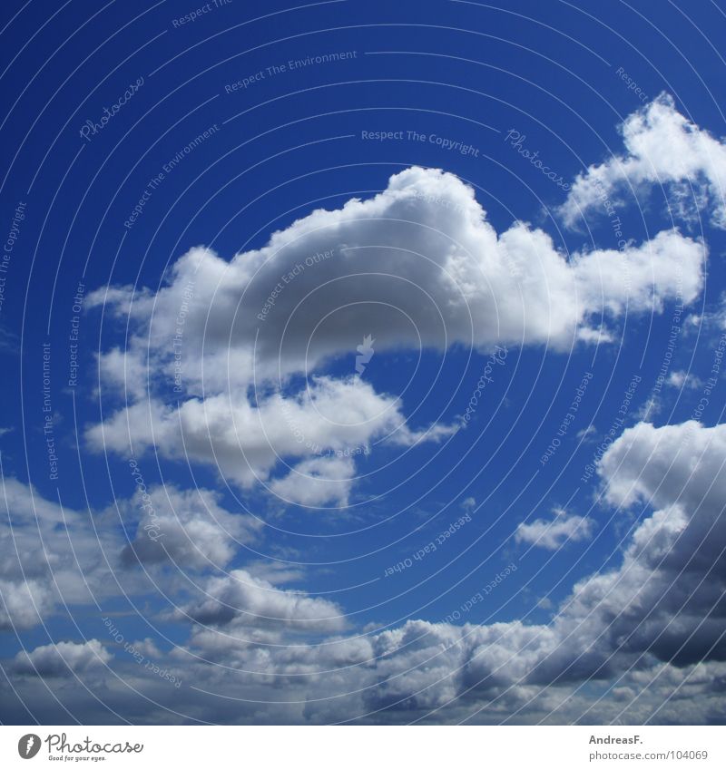 blauer himmel mit wolken himmelblau Pol- Filter Wolken schlechtes Wetter Himmel Wolkenhimmel Sommer Ferien & Urlaub & Reisen träumen Schönes Wetter sky fliegen