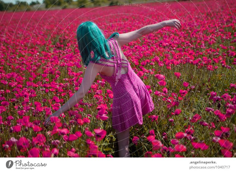 wenn aufeinmal die welt pink ist.. Mohn Feld Wiese rosa blütenmeer Mädchen Freude Sommer Rücken Kleid schön Perücke Valentinstag