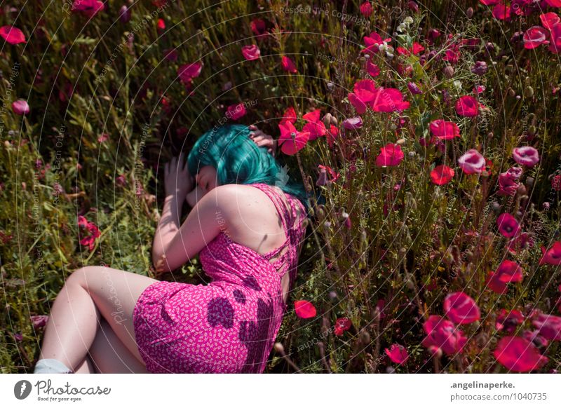 wenn aufeinmal die welt pink ist.. Wiese Mohn rosa Gras Natur Mädchen liegen schlafen Kleid Valentinstag Perücke türkis