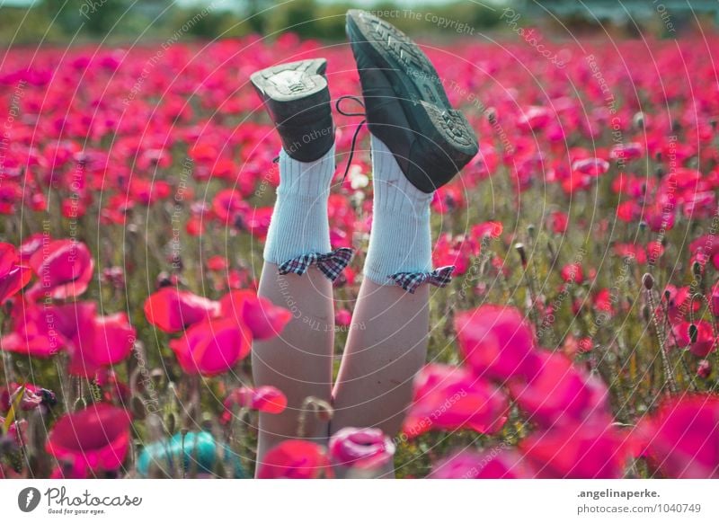 wenn aufeinmal die welt pink ist.. Mohn Feld Wiese rosa Blüte Blume Natur Beine Schuhe Schleife Freude Ausgelassenheit Sommer Mädchen Valentinstag