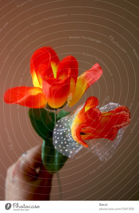ein Blumengruß Hand Dekoration & Verzierung Blumenstrauß Kitsch Krimskrams Souvenir Kunststoff Kunstblume Kirmestrophäe 2 schenken Rose künstlich grell Farbfoto