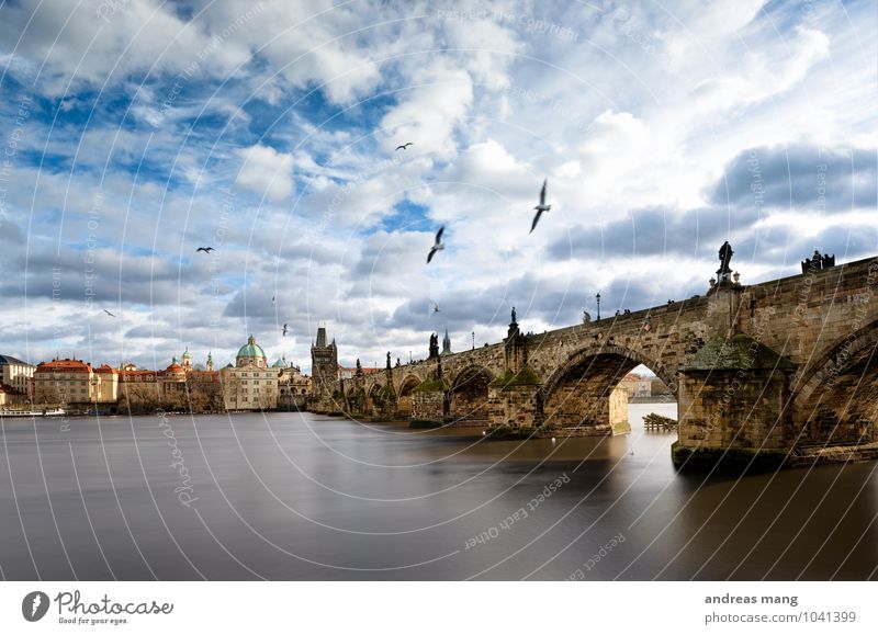 Überflieger Himmel Wolken Schönes Wetter Fluss Prag Stadt Kirche Brücke Turm Architektur Karlsbrücke Vogel Schwarm fliegen alt historisch standhaft Sehnsucht